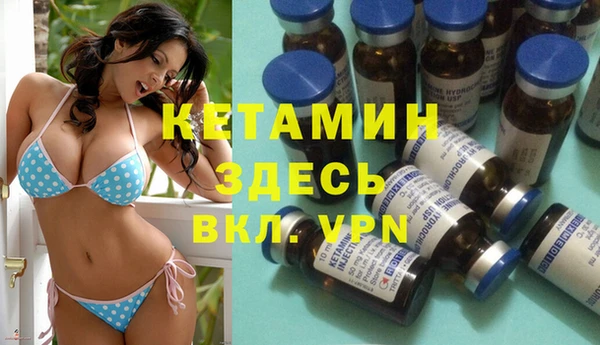гидра Усмань